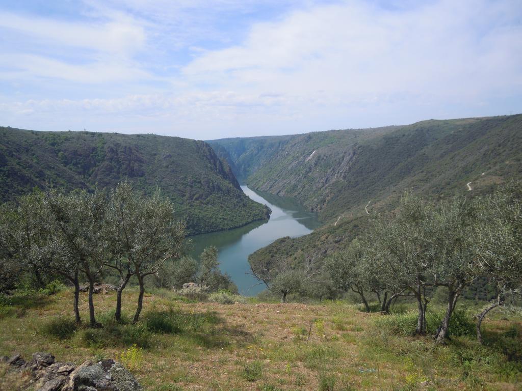 Hotel Rural Rinconada De Las Arribes Aldeadávila de la Ribera المظهر الخارجي الصورة